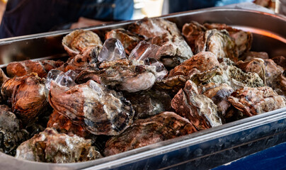 Fresh raw oysters shellfish on ice on market