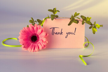 Thank You Card with Pink Gerbera Daisy and Green Ribbons on Soft Background.