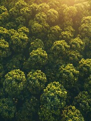 Naklejka premium AI Generated. AI Generative. Beautiful green amazon forest landscape at sunset sunrise. Adventure explore air dron view vibe. Graphic Art hyper realistic 