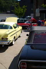 Vintage Car Show