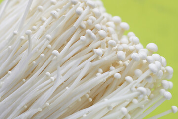 Fresh Enoki mushrooms on green background