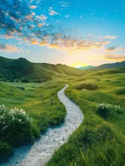 Rolgordijnen zonder boren Picturesque winding path through a green grass field in hilly area in morning at dawn against blue sky with clouds. Natural panoramic spring summer landscape hyper realistic  © Johannes