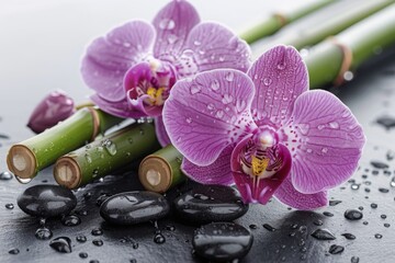 Purple orchids and bamboo sticks with water droplets on a dark surface