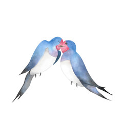 Watercolor kissing swallows cute couple Two birds in love Animal illustration for Valentine's day 2025 decoration baby design poster postcard logo print wallpaper wrapping paper Romantic clipart