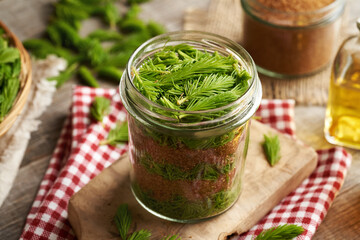 Making spruce syrup from fresh young spruce tips harvested in spring and cane sugar