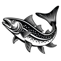 Fish on a white background