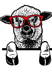 Sheep Wearing Glasses, Cute Farm Animal, Woolly Sheep with Accessories


