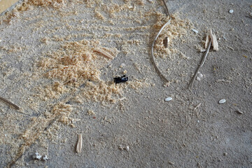 Tiny sawdust littered the floor. A mess from building materials.