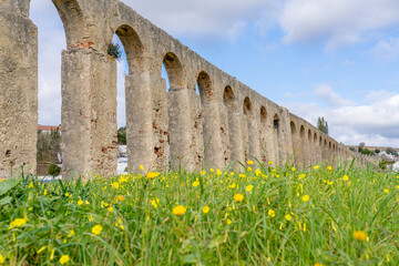 Fototapeta premium Ancient stone aqueduct with wildflowers in foreground