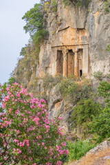 Amyntas Rock Tombs in Southern Turkey with blooming flowers in foreground