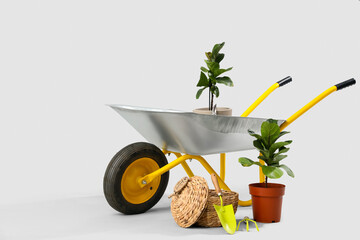 Plants, gardening tools and wheelbarrow on white background