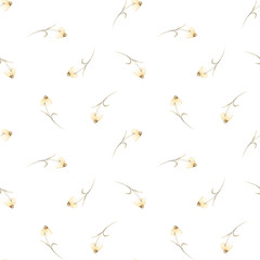 Simple delicate seamless pattern with watercolor yellow echinacea. Hand drawn repeating pattern of yellow flowers on isolated white background. For design textile in minimalist style.