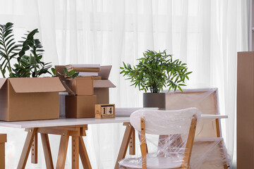Furniture, houseplants and cardboard boxes with belongings in new apartment. Moving house concept