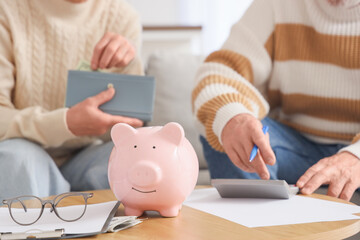 Piggy bank on table of mature couple counting money at home, closeup