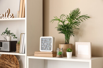 Clock and houseplant on shelving unit in living room
