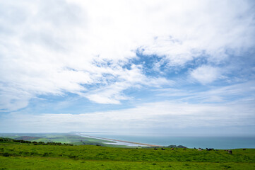 Cattle grazing near Abbotsbury overlooking the Chesil Beach on the Jurassic Coast in Weymouth, Dorset, England