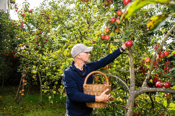 Midle age men working in the privat farmyard