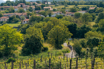 landscape in the mountains