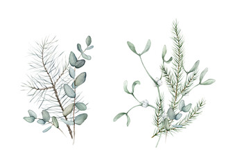New Year's composition of green plants eucalyptus and white mistletoe. Coniferous forest branches of spruce or fir and pine. Watercolor hand drawing illustration on isolated white background.