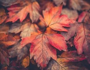 abstract grunge art design texture wallpaper backdrop background overlay