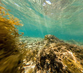 Actioncam underwater seascape capture during snorkeling at croatia, adriatic sea