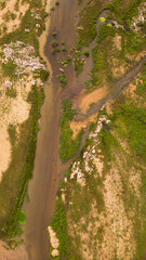 Rio em Oliven&ccedil;a-AL