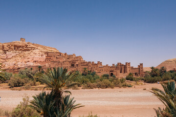 oasis in the desert, Morroco