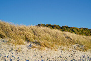 A beach in the north of the isle of Iona