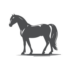 horse silhouette isolated on white