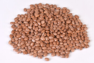 raw bean grain seeds for food natural healthy food seed for planting