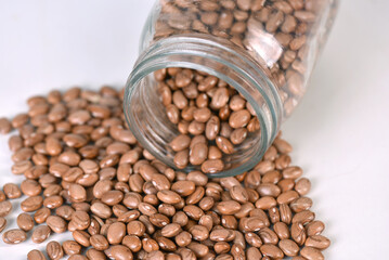 raw bean grain seeds for food natural healthy food seed for planting