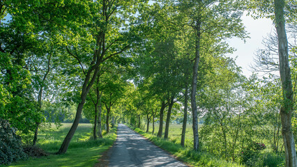 Moorweg in Niedersachen