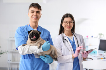 Young veterinarians with pug dog and tablet computer in clinic
