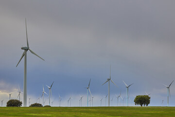 Wind turbines in an agricultural field against cloudy sky
