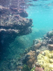 grieta mar fondo snorkeling