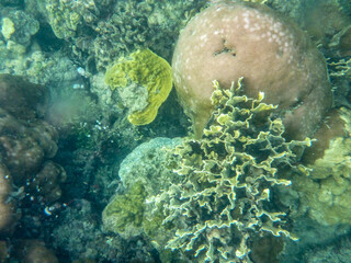 Sentirse libre en el agua