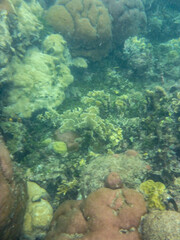 snorkel desde orilla luz dia