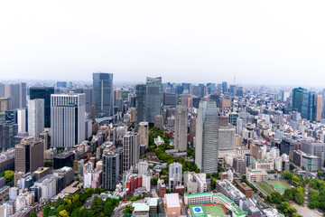 Fototapeta premium 展望台から望む高層ビル群