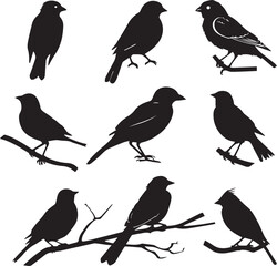 Fototapeta premium Set of black bird silhouettes Vector Illustration elements for design on White Background 