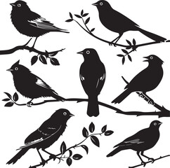 Set of black bird silhouettes Vector Illustration elements for design on White Background 