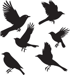 Set of black bird silhouettes Vector Illustration elements for design on White Background 