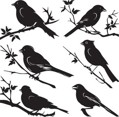 Set of black bird silhouettes Vector Illustration elements for design on White Background 