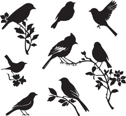 Set of black bird silhouettes Vector Illustration elements for design on White Background 