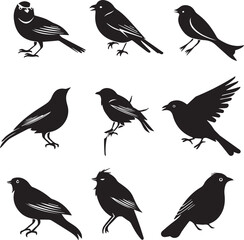 Set of black bird silhouettes Vector Illustration elements for design on White Background 