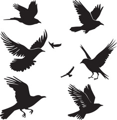 Set of black bird silhouettes Vector Illustration elements for design on White Background 