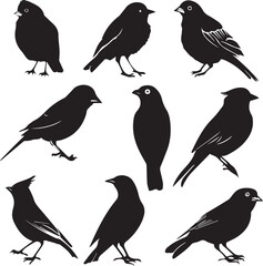 Set of black bird silhouettes Vector Illustration elements for design on White Background 