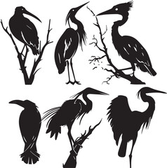 Set of black bird silhouettes Vector Illustration elements for design on White Background 