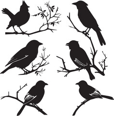 Fototapeta premium Set of black bird silhouettes Vector Illustration elements for design on White Background 