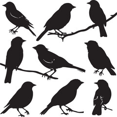 Set of black bird silhouettes Vector Illustration elements for design on White Background 