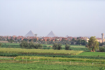 Egyptian Country View with Giza Pyramids at the Horizon